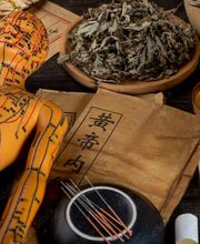 Praxis Dr. med. CHEN | Akupunktur und TCM | FMH Orthopädie Bild 2