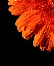 Centre De Formation Prive 2S image 6