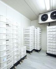 Frilotec imagen 2