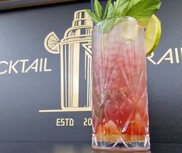 Dani's Cocktail Trailer Bild 12