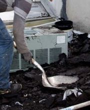 Avalon Construction Inc. image 11