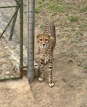 Knap Tours imagen 11