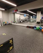 Gimnasio VivaGym Boston imagen 14