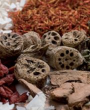 nayandei Akupunktur & Chinesische Medizin Bild 3