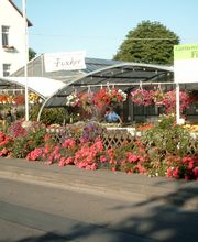 Gärtnerei Fischer KG Bild 8