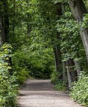 FriedWald Oberau Bild 10