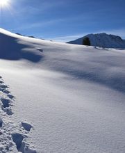 Alp Agence image 12