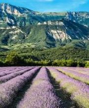 Abeille Assurances Cédric Veysseyre image 15