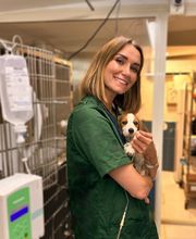 Vet Village - Policlinico Veterinario e Pronto Soccorso h24 immagine 18