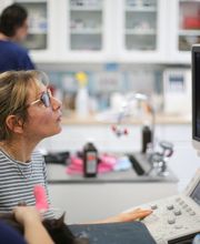 Rye Harrison Veterinary Hospital image 1