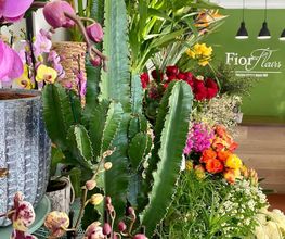 Fior Fleurs image 19