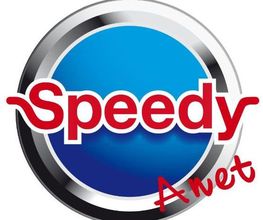 Speedy image 8
