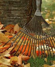 Augsburger Gartenbau GmbH Bild 10