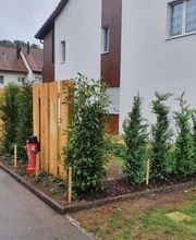 Bison Gartenbau AG Bild 7