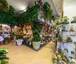 Gallery Professionale