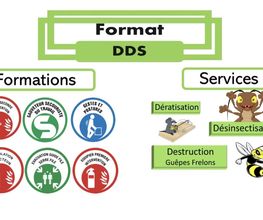 Format DDS image 11