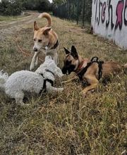 We like to Walk Bild 3