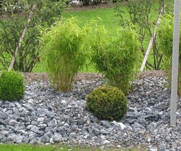 Gartengestaltung Andreas Jakob GmbH Bild 4
