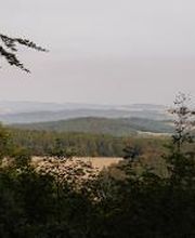 Einige Stellen im FriedWald Burg Plesse bieten einen tollen Ausblick auf die Landschaft.