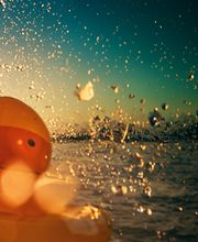 Camping am See Bild 13