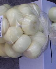 CEBESTUR,S.L. imagen 10