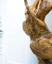 Zahnkultur Nürnberg Bild 3