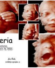 See Baby Ecografía Emocional imagen 15