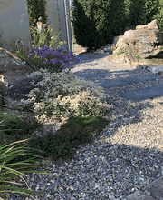 Rutishauser Gartenbau GmbH Bild 3