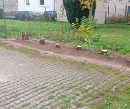 Gartenservice Kurz Bild 1
