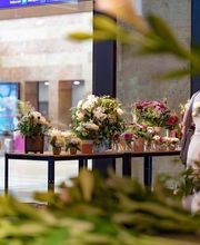 Fleuriot Fleurs, Fleuriste Gare CFF Cornavin Bild 3