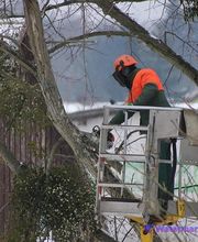 R.Evan Elagage Abattage image 4