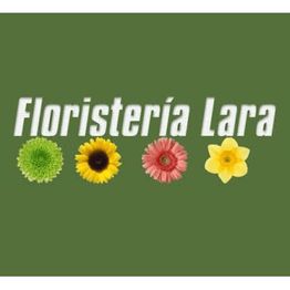 floristeria-lara.png