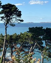 Les Sentiers de l'Energie - Stages de Jeûne et Randonnée en Bretagne image 11