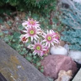 Gartengestaltung und Landschaftsbau Zech