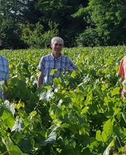 Maison Peltier image 10