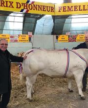 Auvergne Viande image 17