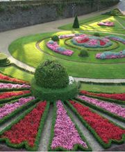 Bruno Jardins image 5