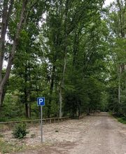 FriedWald Oberkrämer Bild 3