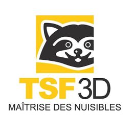 TSF 3D