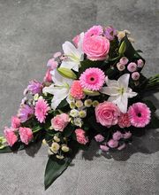 Terre De Couleurs image 2