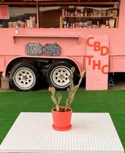 The Happy Cactus image 18