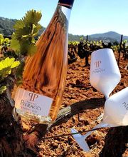 Festival de Comédie Pieracci image 4