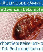 Klavier Zähringer Bild 8