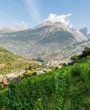 Kellerei Drei Eichen Bild 7