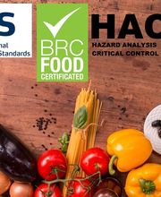 Schädlingsbekämpfung Stöckler Bild 2