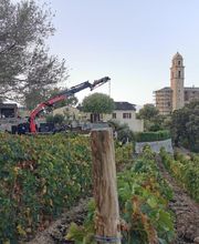 SARL JULIEN RIVA image 6