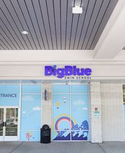 Big Blue Swim School image 1