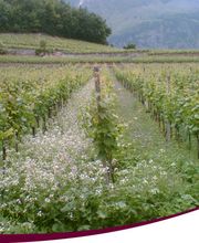 Mathier Franz-Josef AG Bild 6