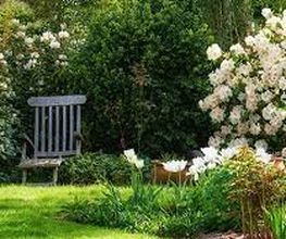Bislimi Gartenbau AG Bild 2
