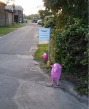 Rosemarie Hofmann Hypnose Praxis Bild 4